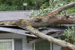 Common Causes of Roof Damage in Florida