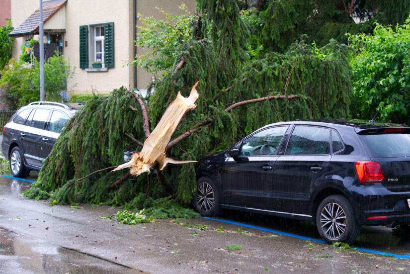 Preventing Car Accidents in the Holiday Traffic Surge in Gainesville, FL